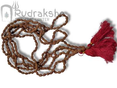 2 Mukhi Mala